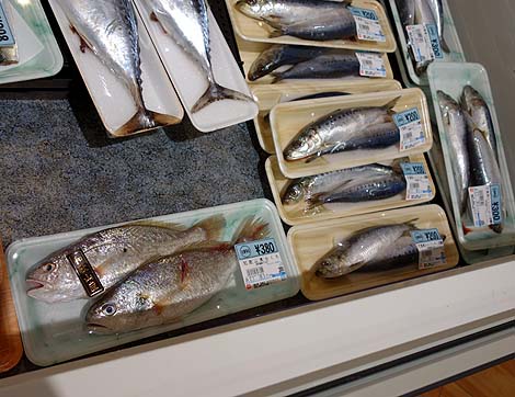 すごい魚屋さんのあるスーパー サンワ 楠見店（和歌山紀ノ川）ご当地スーパーめぐり