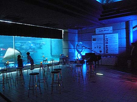 Aqua Bar ブルーナイトファンタジー（神戸・須磨海浜水族園）