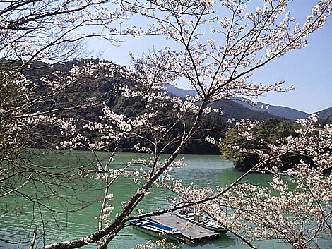 車中泊1泊2日 奈良～和歌山にて温泉博士入浴手形三昧（2010年春）