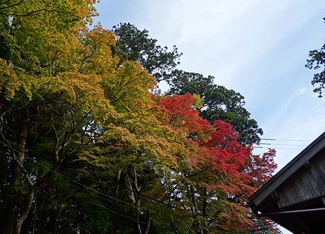 するっとKANSAI 3day 紅葉と行列だらけの京都（2013年秋）前編