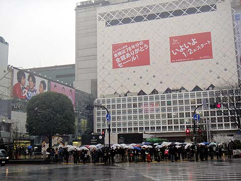 2日目は土砂降りの築地市場へ（冬の青春18きっぷ年末年始恒例東京旅）2012年12月30日