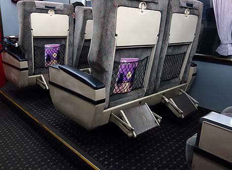 �������`�{��Ԃ����}�O���[���ԂŗD��Ȉړ��̂��肪�E�E�E�iJR��B783�n���}�d�Ԃ��肵�܁j�n�b�s�[�o�[�X�f�C��B�p�X����3