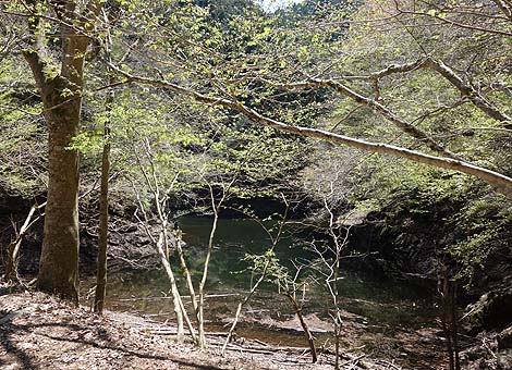 ��A��A��̃I���p���[�h�I�k���U��u�Ԗڎl�\����v�i�O�d�����j