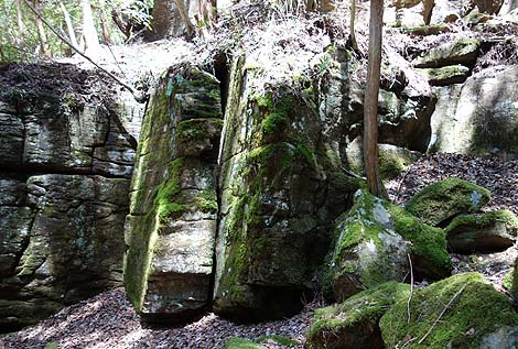 ��A��A��̃I���p���[�h�I�k���U��u�Ԗڎl�\����v�i�O�d�����j