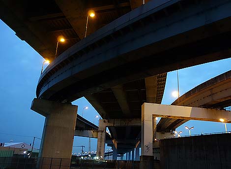 ���H��n�тԂ���U���E��i�ʐ^�i���Ɂj