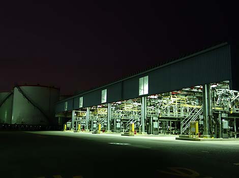 ���H��n�тԂ���U���E��i�ʐ^�i���Ɂj