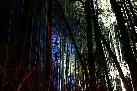 ���R�ԓ��H�i2013�N12���j���s�E��̃��C�g�A�b�v