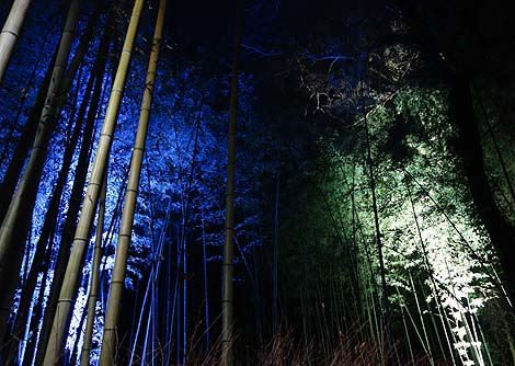 ���R�ԓ��H�i2013�N12���j���s�E��̃��C�g�A�b�v