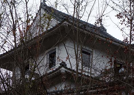 �x�O�Z��n�ɕs�C���ɘȂޔp�Ѓ��u�z�e���u�����v�i���Q���R�j�������j�Z��V���[�Y