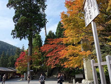 ��b�R ��� �����n��i���ꌧ��Áj�H�̍g�t