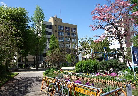 �S����360�x�ǂ��ł������邳�`����Ă��O��miwa���I�x�m�R���ׂ��[����O����]�i���m���É���{�j