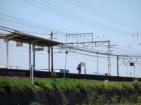 ���W���[��JR�L���w����킸��1�w�Ŗ��l�w�H������߂����ዷ�����E�E�E�u�D���w�v�i���m�L���j