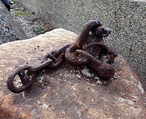 �R�͖h�g��i�����k��B����H�ƒc�n�jB�����X�|�b�g