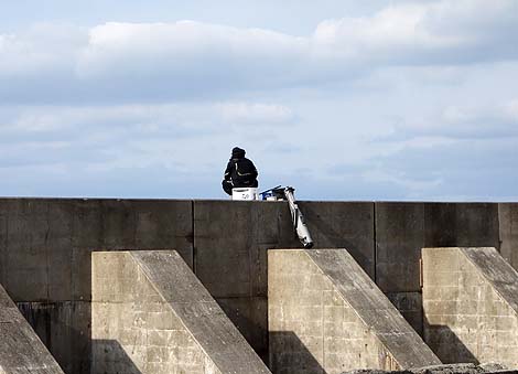 �p�Ђ̉��҂ɂ悤�₭�o�����܂��� �R�͓�[�[��]�㗤�ҁi����j