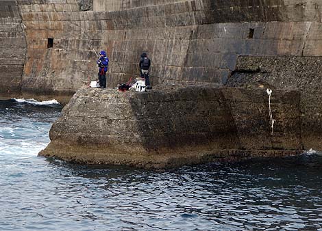 �p�Ђ̉��҂ɂ悤�₭�o�����܂��� �R�͓�[�[��]�C����V�ҁi����j