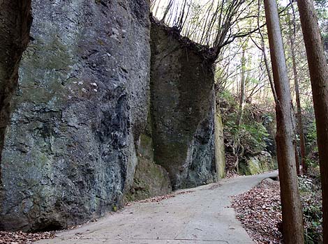 �������r����[�����_��]�i�啪�|�c�j���{��������ƌ�����_�� B�����X�|�b�g