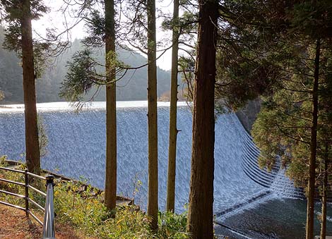 �������r����[�����_��]�i�啪�|�c�j���{��������ƌ�����_�� B�����X�|�b�g