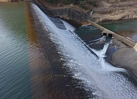 �������r����[�����_��]�i�啪�|�c�j���{��������ƌ�����_�� B�����X�|�b�g