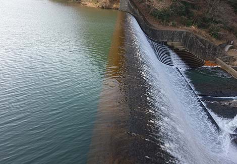 �������r����[�����_��]�i�啪�|�c�j���{��������ƌ�����_�� B�����X�|�b�g