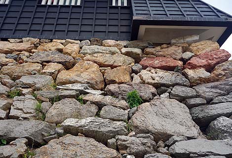 ����ƍN�̋���ł��������o����u�l����v�i�É����l���s�j�����V��