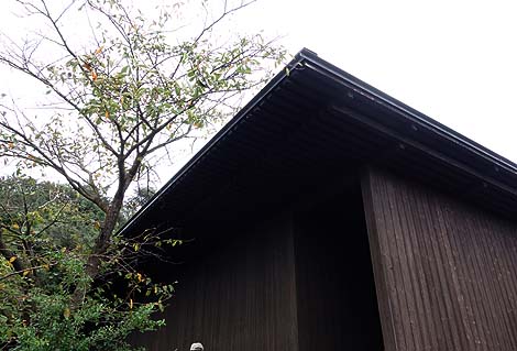 �ƃv���W�F�N�g[Project]�i�x�l�b�Z�A�[�g�T�C�g�����j