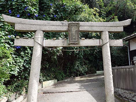 �ƃv���W�F�N�g[Project]�i�x�l�b�Z�A�[�g�T�C�g�����j