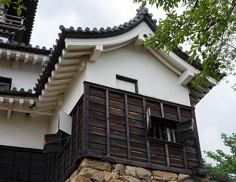 2004�N�܂ł͌l���L�ł���������ł����錻���V��u���R��v�i���m���R�j