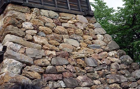 2004�N�܂ł͌l���L�ł���������ł����錻���V��u���R��v�i���m���R�j