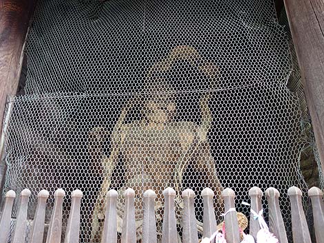 �l����ꔪ�\�������̖������Ȃ��������ł��ꋉ�i�u�Ύ莛�v�i���Q���R�jB�����X�|�b�g