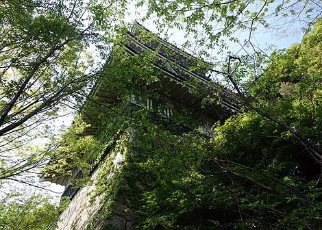 ������j�L�O�فi���m���i�j�p��ՂɌ��Ă�ꂽ�͋[�V��