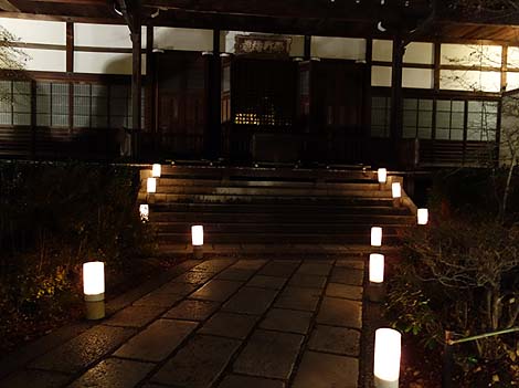 �������i���R�ԓ��H�E��ԓ��ʔq�ρj���s�E��̃��C�g�A�b�v