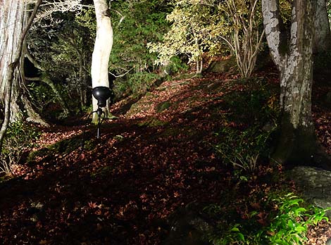 �������i���R�ԓ��H�E��ԓ��ʔq�ρj���s�E��̃��C�g�A�b�v