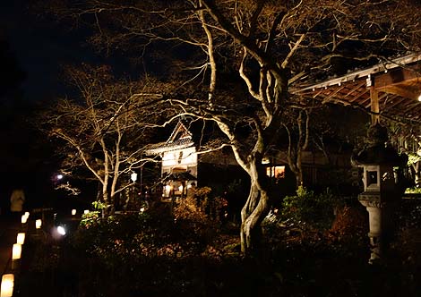 �������i���R�ԓ��H�E��ԓ��ʔq�ρj���s�E��̃��C�g�A�b�v