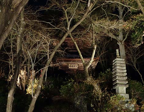 �������i���R�ԓ��H�E��ԓ��ʔq�ρj���s�E��̃��C�g�A�b�v