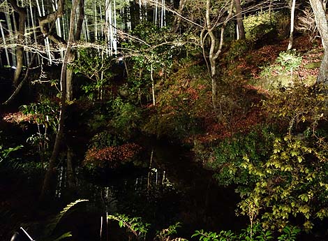 �������i���R�ԓ��H�E��ԓ��ʔq�ρj���s�E��̃��C�g�A�b�v