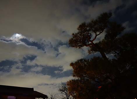 �������i���R�ԓ��H�E��ԓ��ʔq�ρj���s�E��̃��C�g�A�b�v