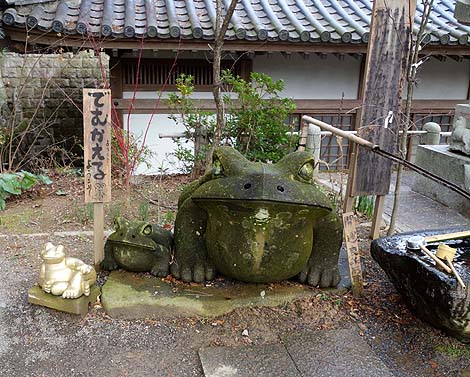 カエルだらけのお寺 如意輪寺(福岡小郡市)B級珍スポット