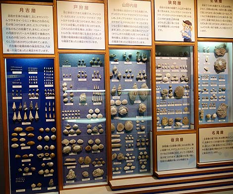 恐竜はあれど化石に特化した博物館は全国でも非常に珍しい・・・瑞浪市「化石博物館」(岐阜)