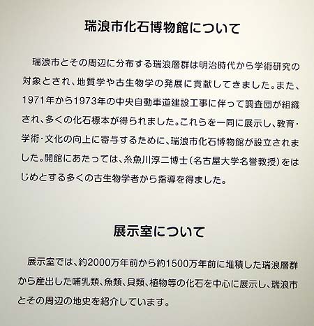 恐竜はあれど化石に特化した博物館は全国でも非常に珍しい・・・瑞浪市「化石博物館」(岐阜)