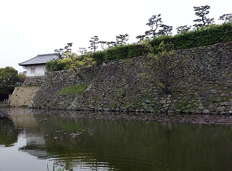 ���͑��邾���Ƃ��Ⴄ�ŁI�ݘa�c��i���ݘa�c�s�j