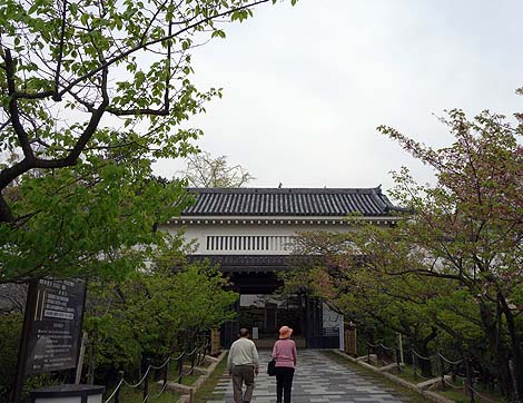 ���͑��邾���Ƃ��Ⴄ�ŁI�ݘa�c��i���ݘa�c�s�j