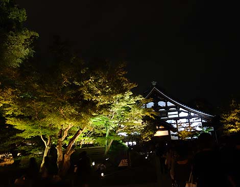 高台寺 秋の夜間特別拝観(京都祇園東山)境内を幻想的にライトアップ