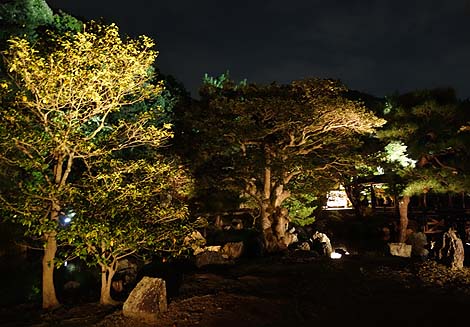 高台寺 秋の夜間特別拝観(京都祇園東山)境内を幻想的にライトアップ