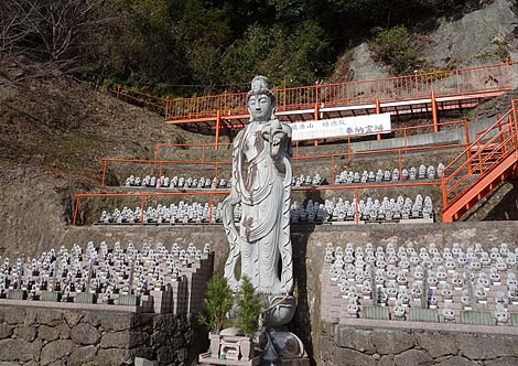 ����ȑ单�V���R�� �����R�����@�i�啪���R�z�s�jB�����X�|�b�g