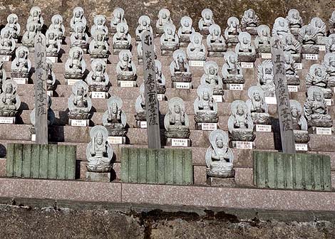 ����ȑ单�V���R�� �����R�����@�i�啪���R�z�s�jB�����X�|�b�g