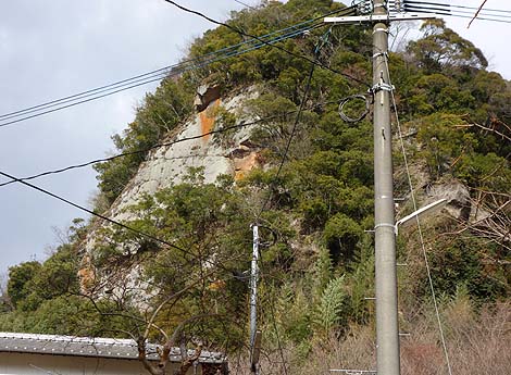 ����ȑ单�V���R�� �����R�����@�i�啪���R�z�s�jB�����X�|�b�g