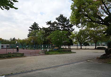 ������тč��l�ɑł��グ��ꂽ���̂悤�ȁE�E�E��O��I���������̃N�W�����i���É��s���j