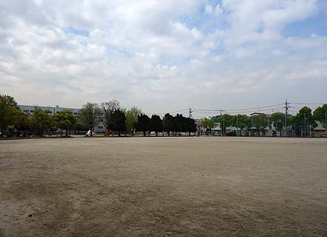 ������тč��l�ɑł��グ��ꂽ���̂悤�ȁE�E�E��O��I���������̃N�W�����i���É��s���j