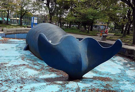 ������тč��l�ɑł��グ��ꂽ���̂悤�ȁE�E�E��O��I���������̃N�W�����i���É��s���j