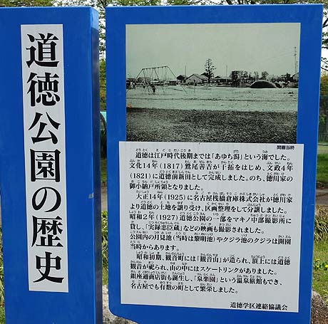 ������тč��l�ɑł��グ��ꂽ���̂悤�ȁE�E�E��O��I���������̃N�W�����i���É��s���j